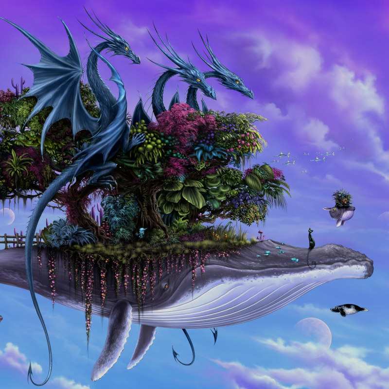 Silhouette of a hiker at sunset